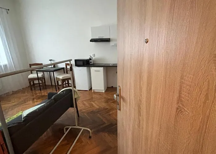 Comfortable After Renovation Near The Center