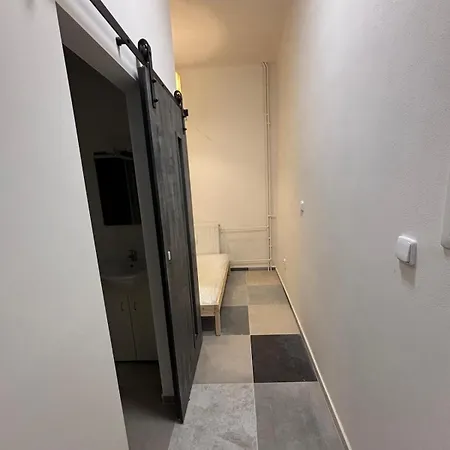 Lejlighed Comfortable After Renovation Near The Center Brno